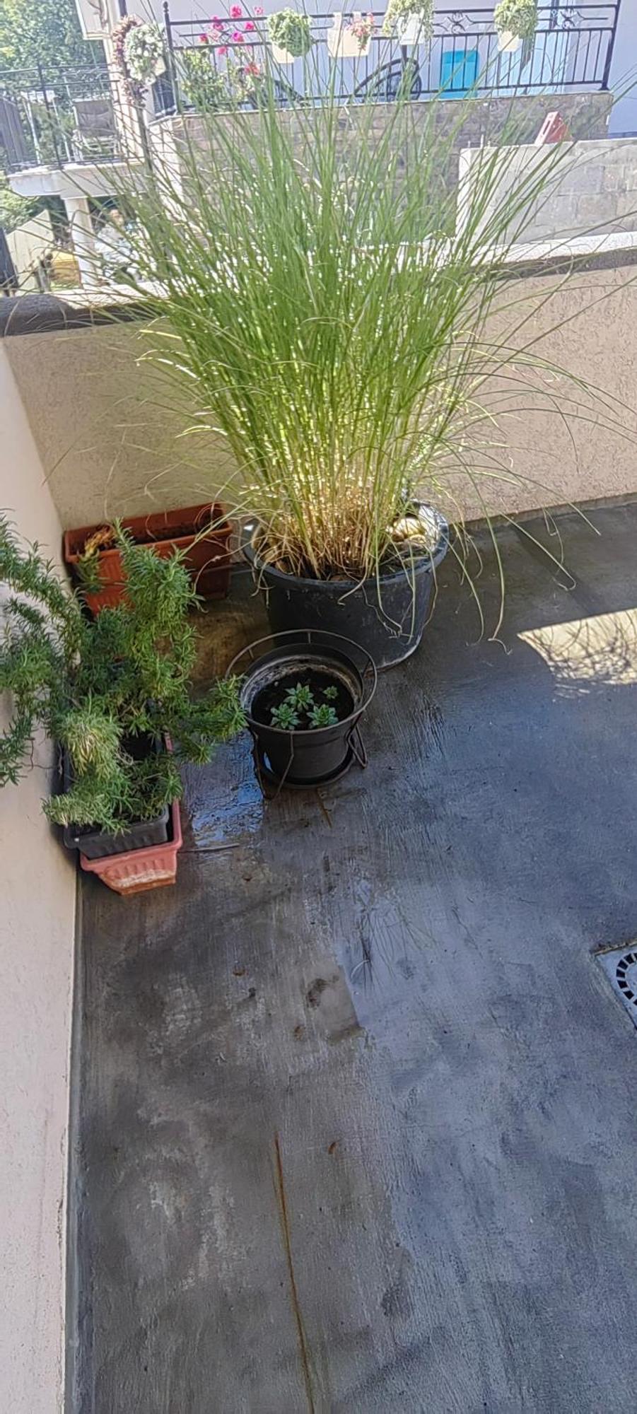 Apartment Divlji Raj Belgrad Zewnętrze zdjęcie