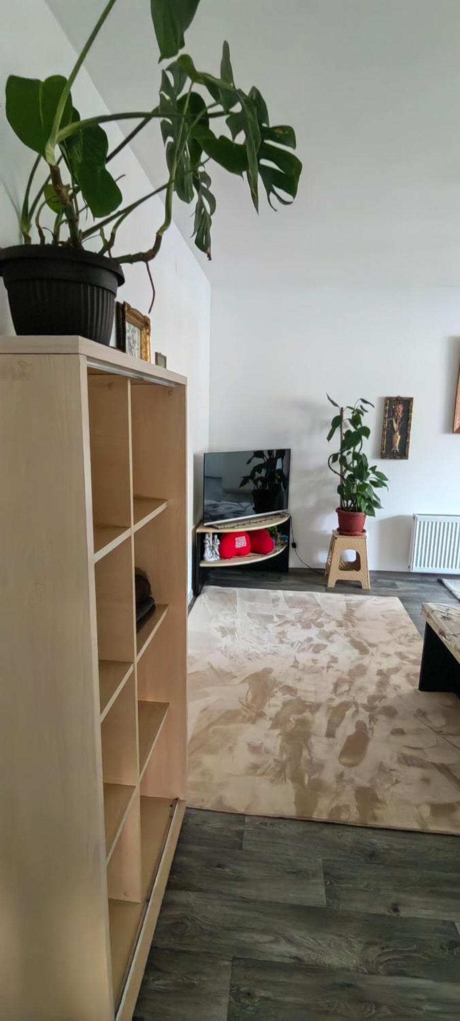 Apartment Divlji Raj Belgrad Zewnętrze zdjęcie